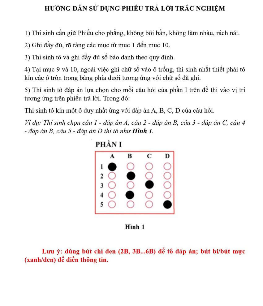ảnh 5